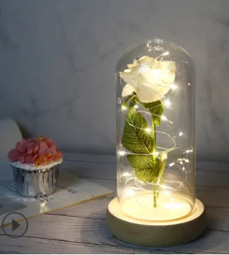 Beauty And The Beast Rose Rose In LED Glass