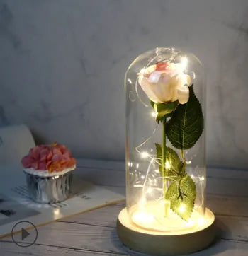 Beauty And The Beast Rose Rose In LED Glass